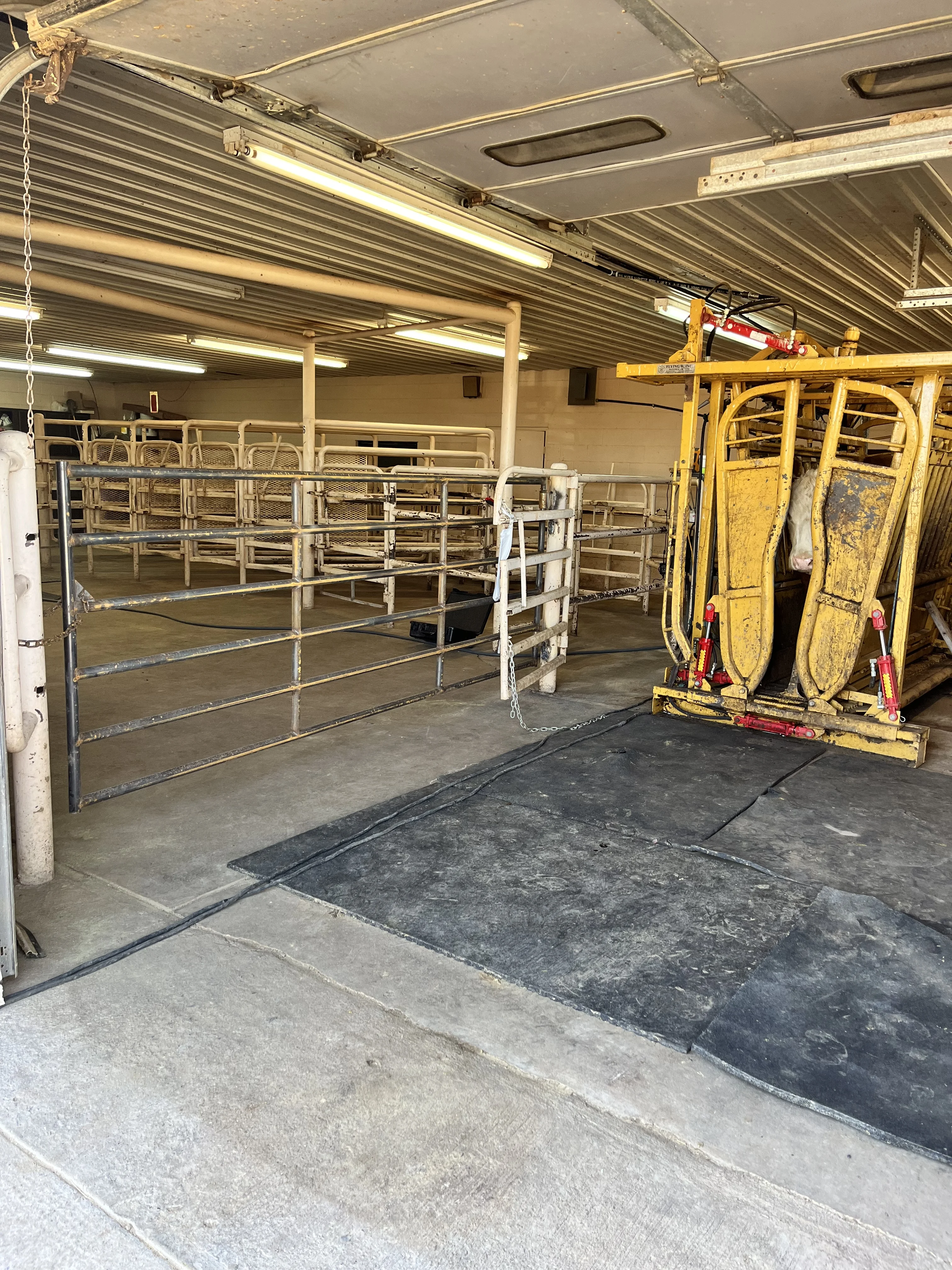 Semen Collection Services