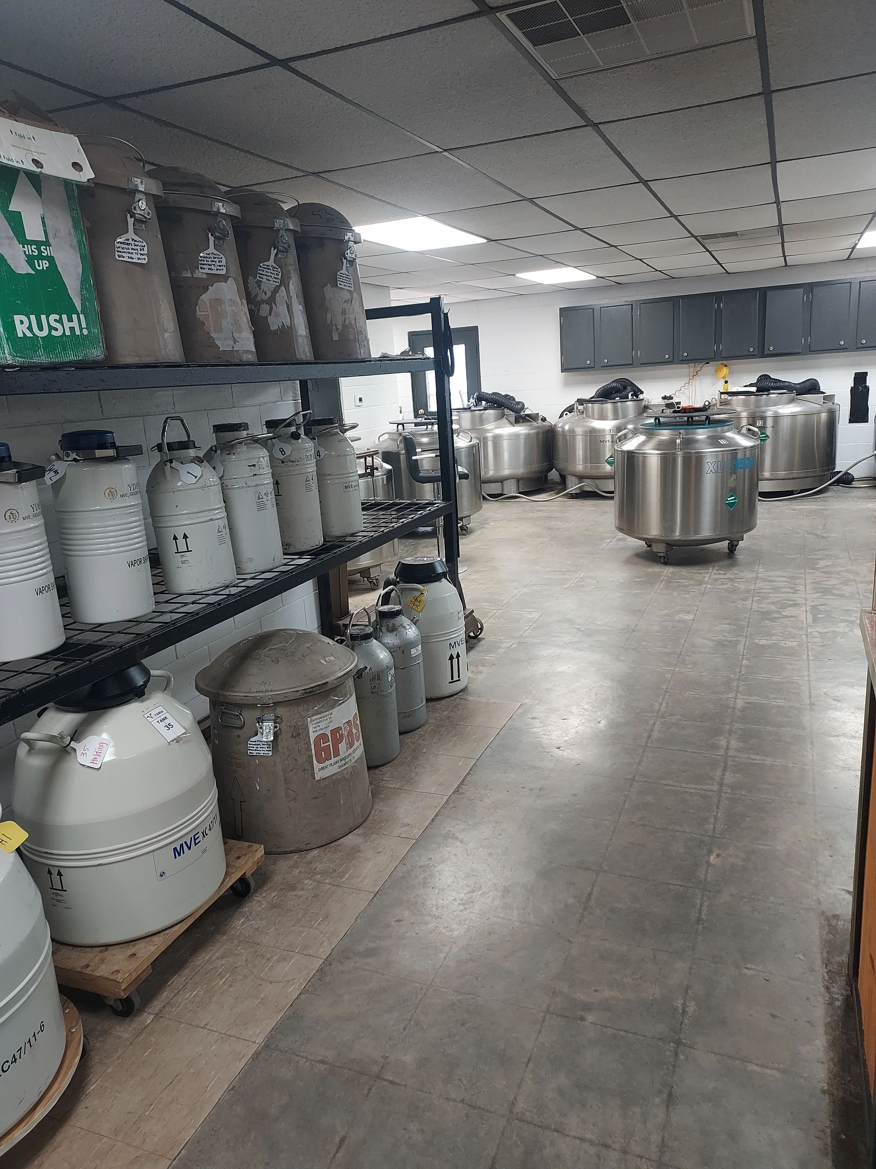 Storage and Shipping Services